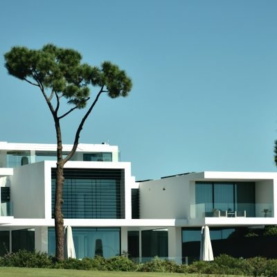 a large white building with a tree in front of it